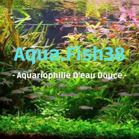 aquariophile aqua.fish38
