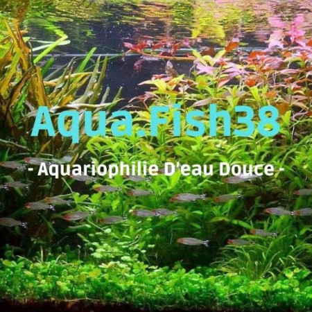 aquariophile aqua.fish38