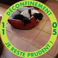 aquariophile marie-le-seac-h