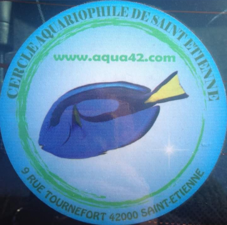 club CASE - Cercle Aquariophile de Saint Etienne