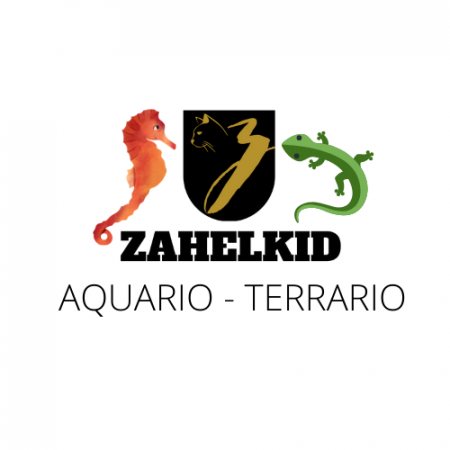 aquariophile Zahelkid