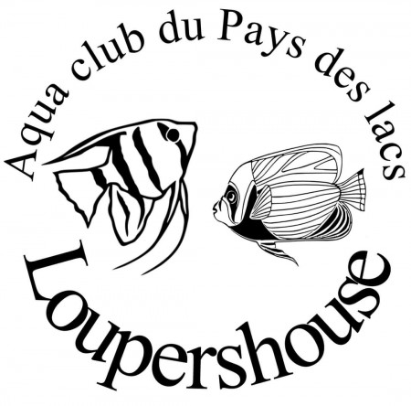 club AQUACLUB DU PAYS DES LACS de LOUPERSHOUSE