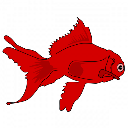 aquariophile ricou43