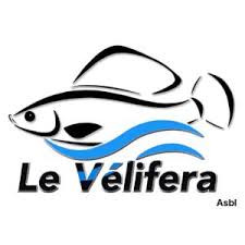 club Le ´Velifera.