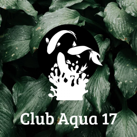 club Aqua 17