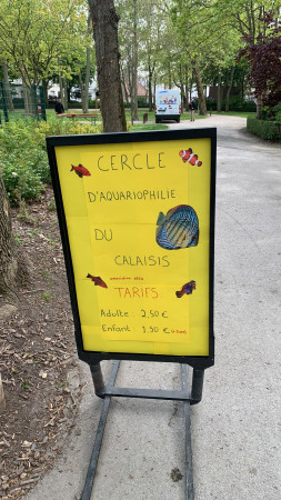 club Cercle d’aquariophile du Calaisis