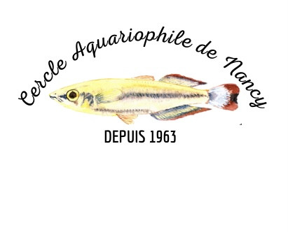 aquariophile CAN54