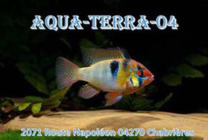 club Aqua-Terra-04