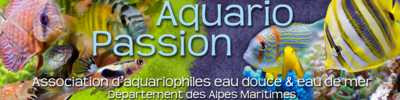 club Aquario-passion