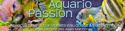 club Aquario-passion