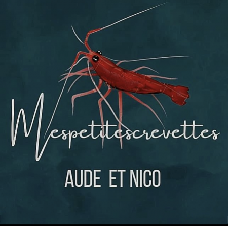 aquariophile mespetitescrevettes49