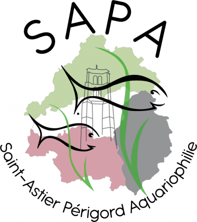 club SAPA Saint Astier Périgord Aquariophilie