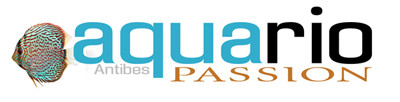 club Aquario Passion Antibes