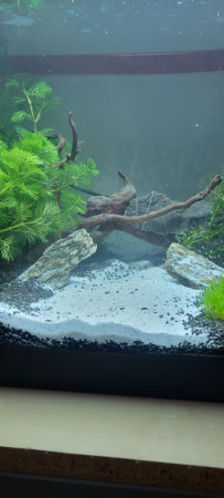 aquariophile Air_one