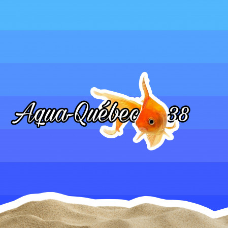 club Aqua-Québec 38