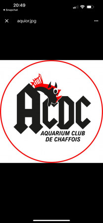 club Aquarium club de chaffois