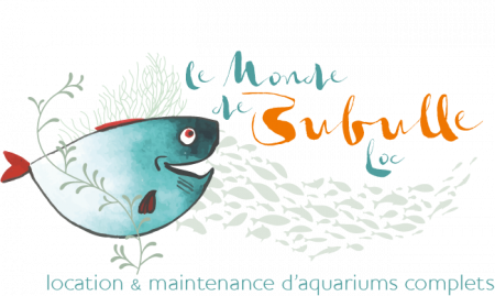 aquariophile LeMondedeBubulle