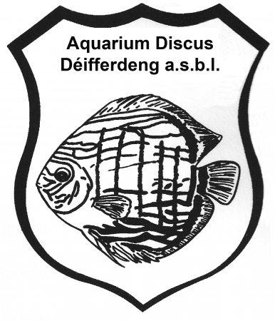 aquariophile DiscusDifferdangeLux