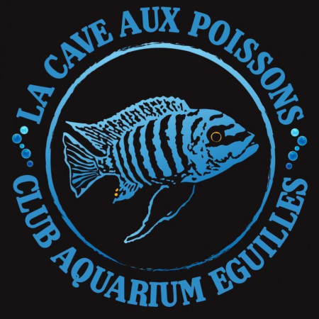 club La Cave aux Poissons