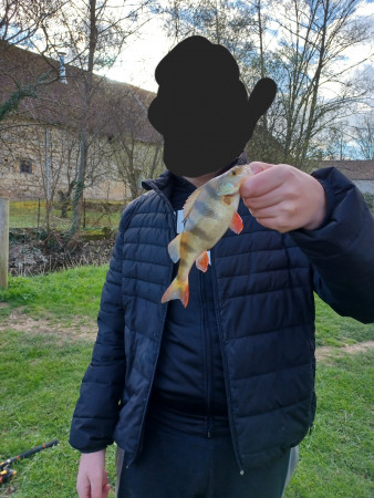aquariophile Muchcho