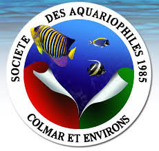 club Société des Aquariophiles de Colmar et Environs