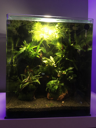 aquariophile Stephdep32
