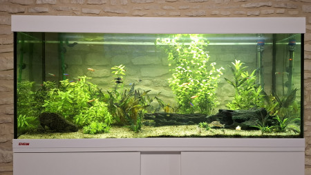 aquariophile Co14