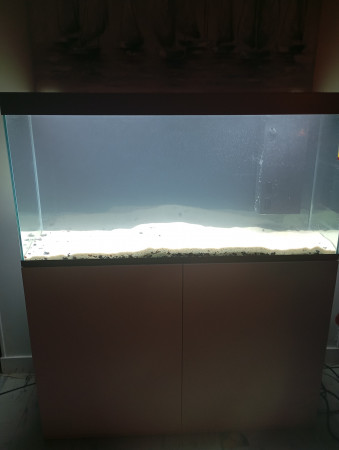 aquariophile Volodia