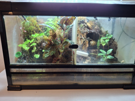 aquariophile Tony25