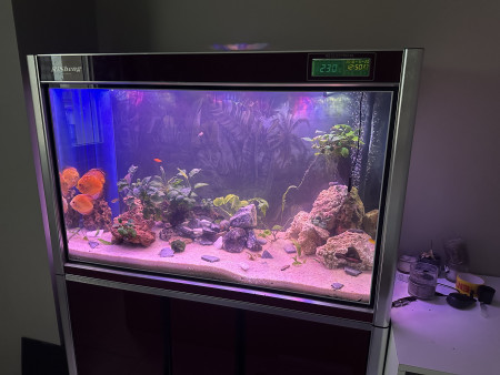 aquariophile Timeo.odn