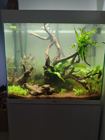 aquariophile Nutz