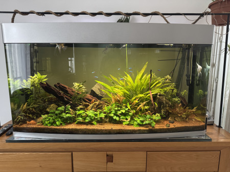 aquariophile Allanlyon
