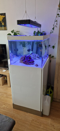 aquariophile Ceddu73