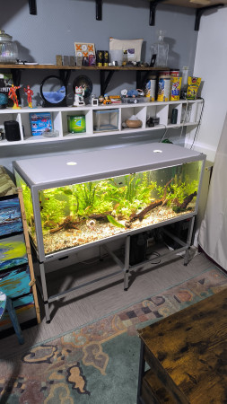 aquariophile Smirzpix