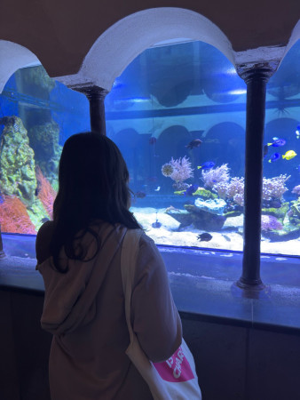 aquariophile Yunnie