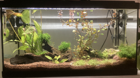 aquariophile Aliosha51