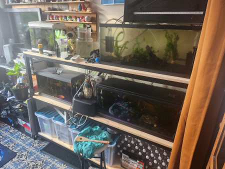 aquariophile Papa69