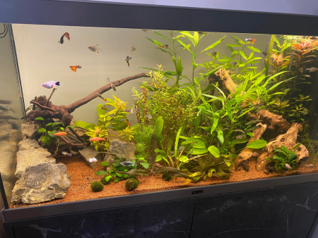 aquariophile Mouss