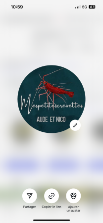 aquariophile Mespetitescrevettes