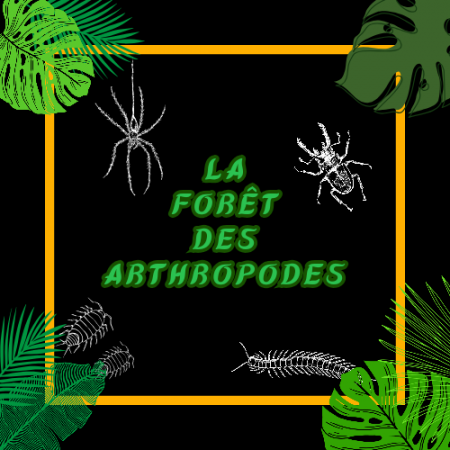 aquariophile Benji.1712