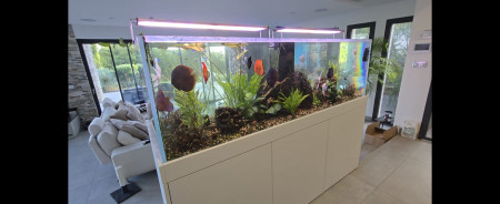 aquariophile Alebigot