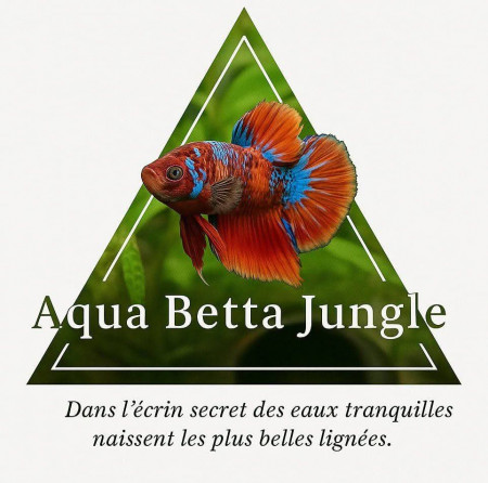 aquariophile Aquabettajungle
