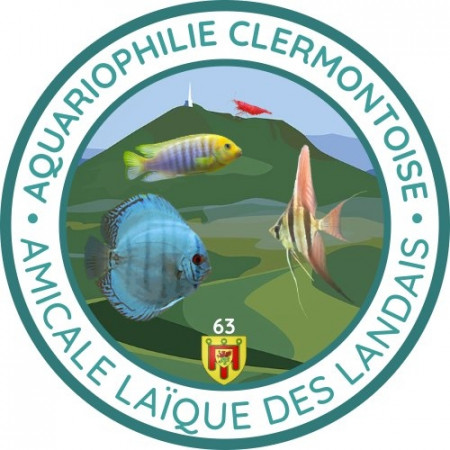 club Association aquariophilie Clermont Ferrand 63