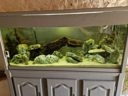 aquariophile ludo3407