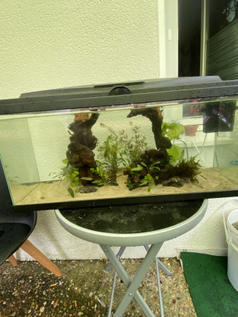 aquariophile Fish974