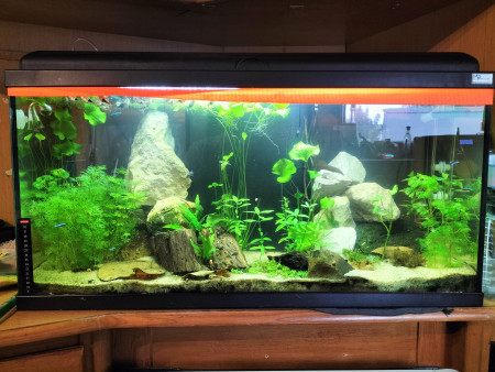 aquariophile ericlegoux