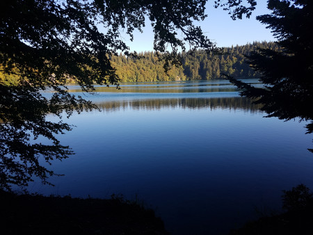 aquariophile King-Niglo