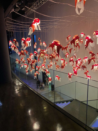 aquariophile Prushka