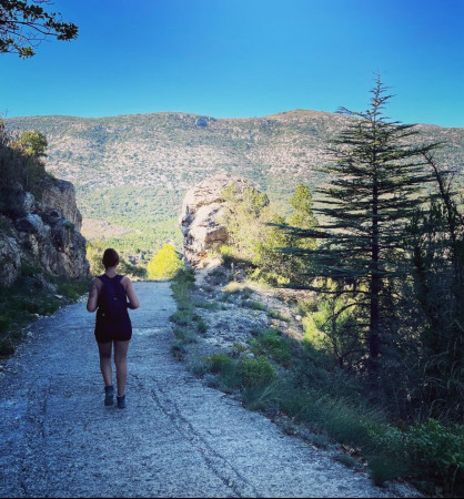 aquariophile Gwenala