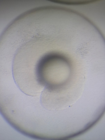 aquariophile justin-caruana-audard